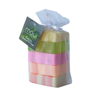 Tropical Mini Hawaiian Bar Soap Gift Set