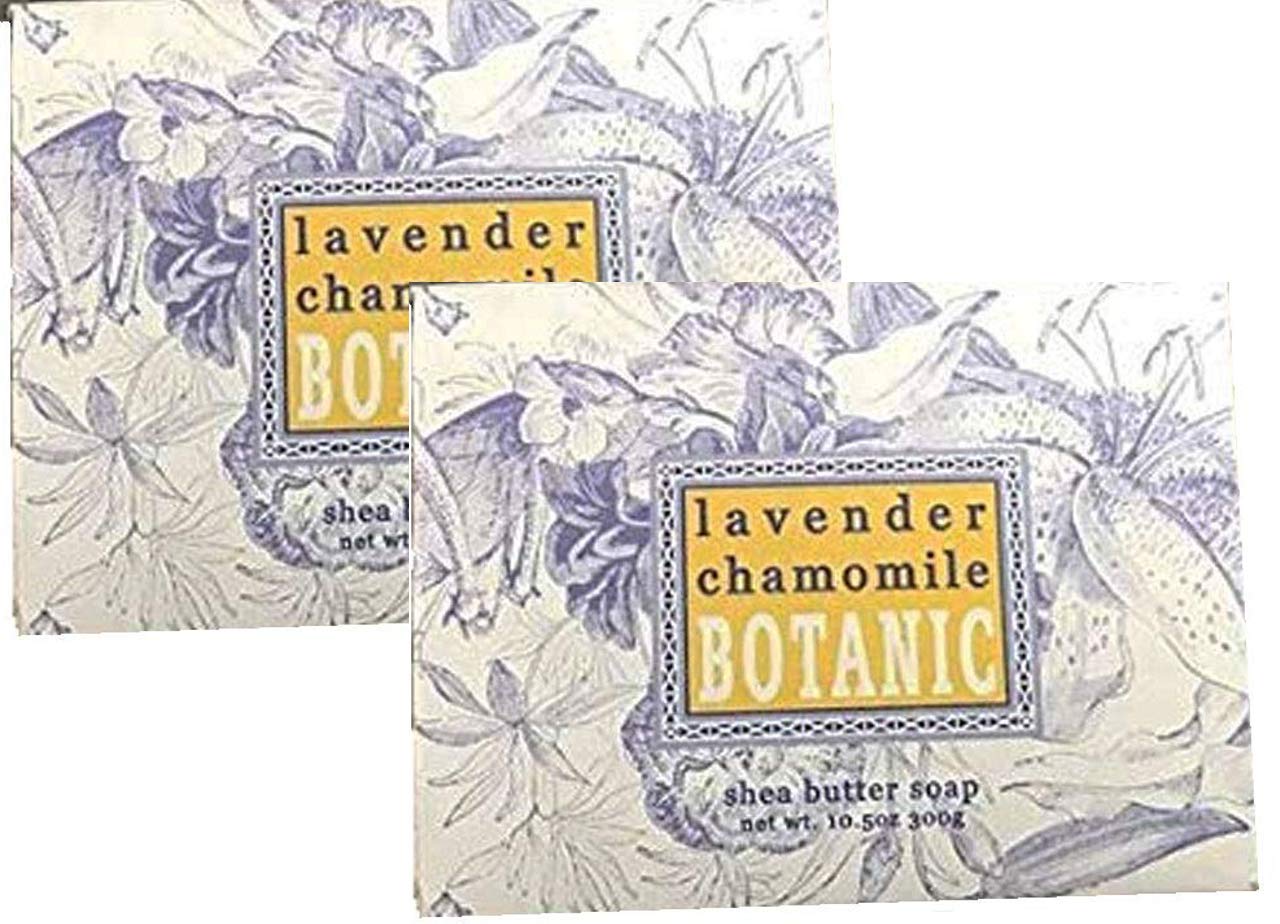 Lavender Chamomile Scented Bar Soap (3 Sizes Available)